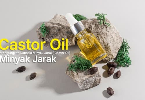 Mengungkap Rahasia Minyak Jarak (Castor Oil)
