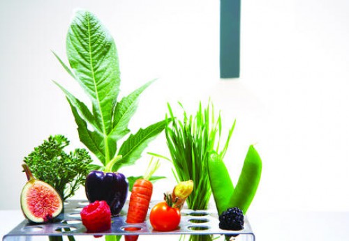Test tube food